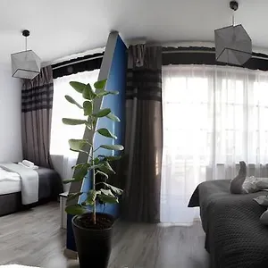 Magnetic Studio Odkryta Warszawa